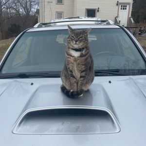 Meet your Posher, Stephen